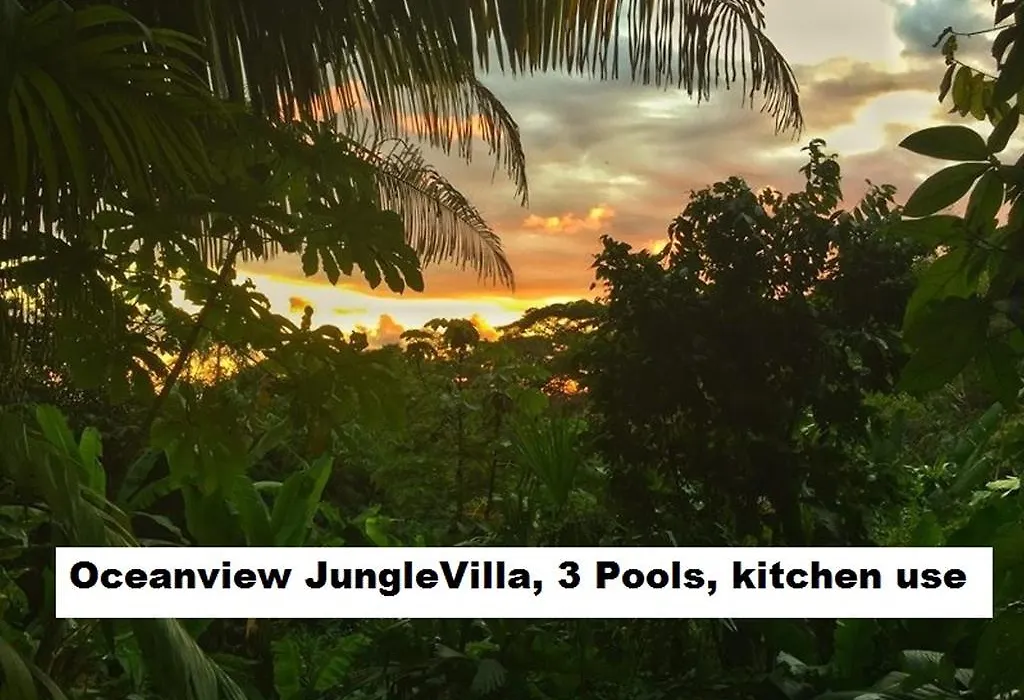 Jungle Villa-1