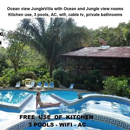 Jungle Villa-3