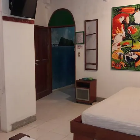 Jungle Villa-2